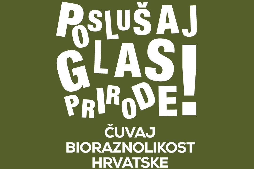 Trenutno pregledavate Poslušaj glas prirode!