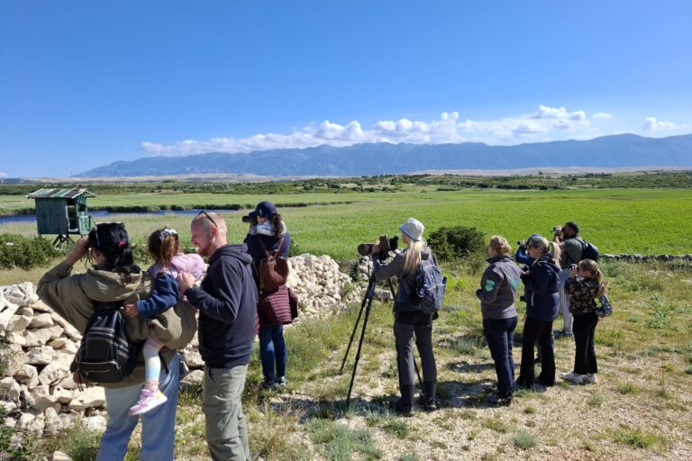 Pročitajte više o članku Birdwatching na Kolanjskom blatu oduševio posjetitelje