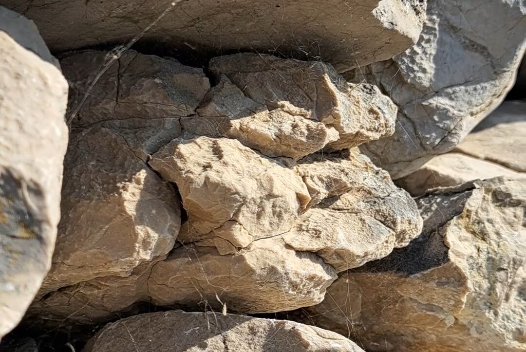 Trenutno pregledavate Tko sve plete na Pagu? Spoj prirodnih mreža i kulturnih niti