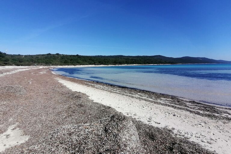 Pročitajte više o članku Praćenjem morfoloških promjena plaže Sakarun do promjene planiranog rješenja temeljenog na prirodi (NbS): Umjesto drvene šetnice, neuklanjanje banketa posidonije